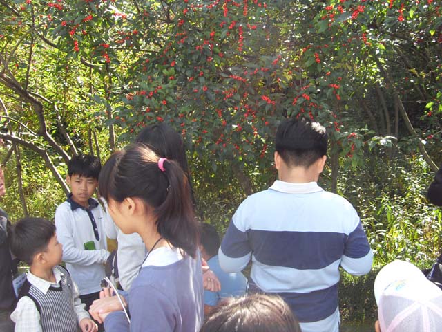 sdc12544