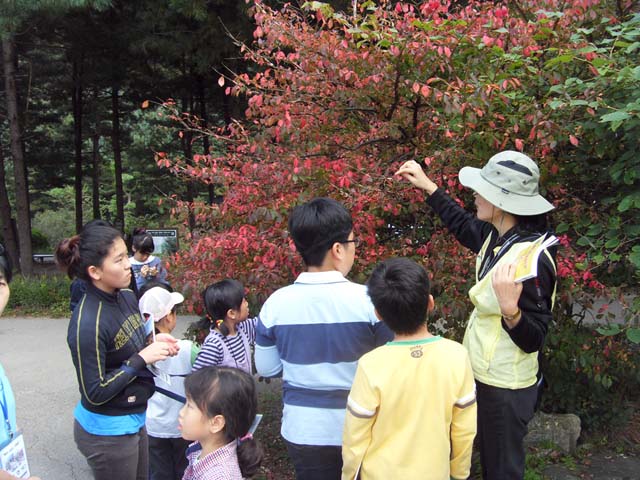 사본 -sdc12522