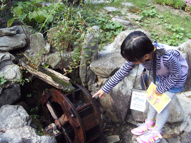 사본 -sdc12532