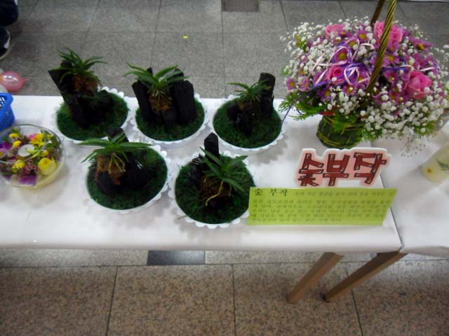 숯부작