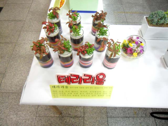 테라리움
