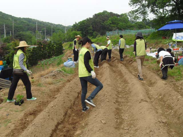 밭갈기2