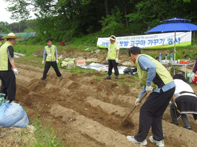 밭갈기3