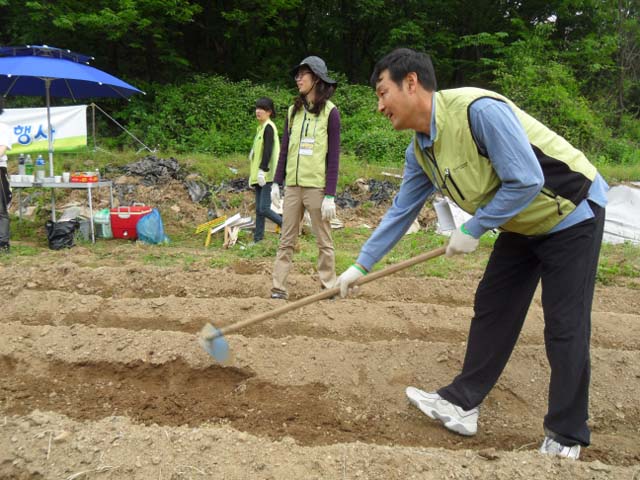 밭갈기5