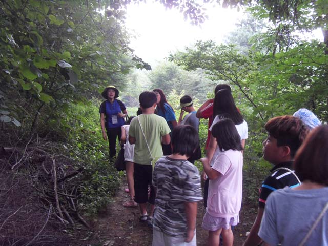 sdc14621