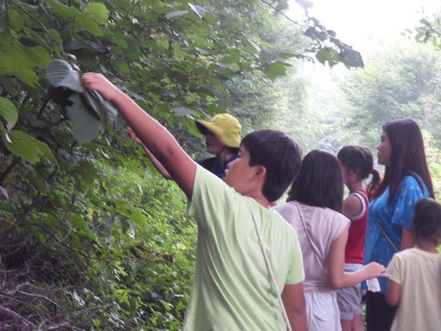 sdc14623