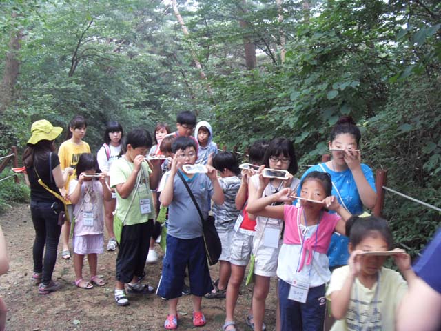 sdc14689
