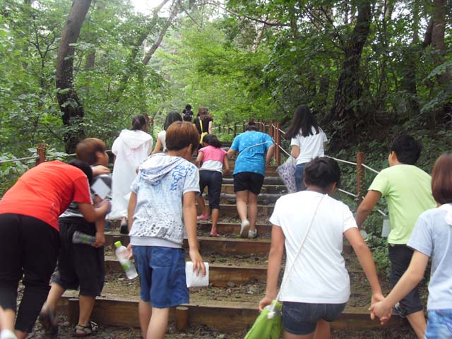 sdc14768