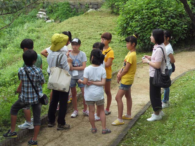 sdc14906