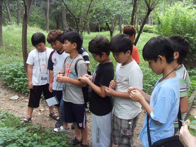 sdc14910