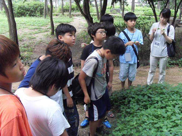 sdc14915