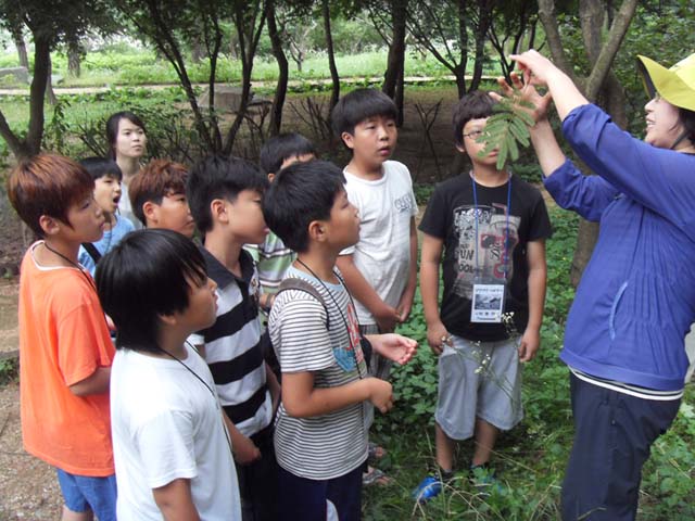 sdc14917