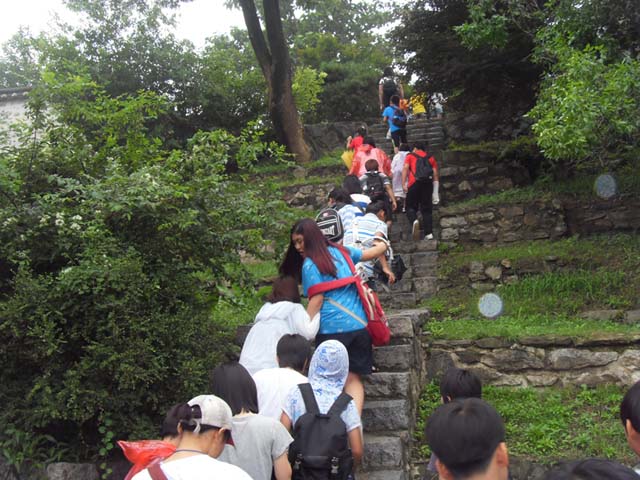 sdc15082