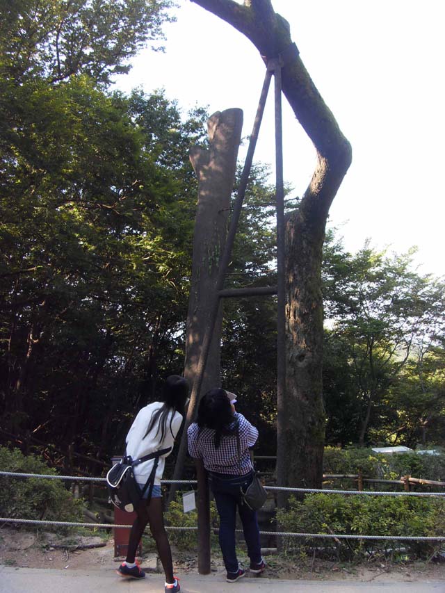 sdc15404