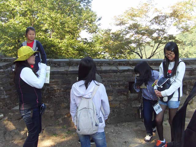 sdc15409