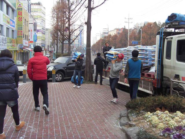 sdc15547