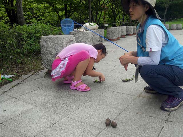 kakaotalk_11ef14081bc55216